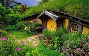 Bí mật ngôi nhà trong cỏ 